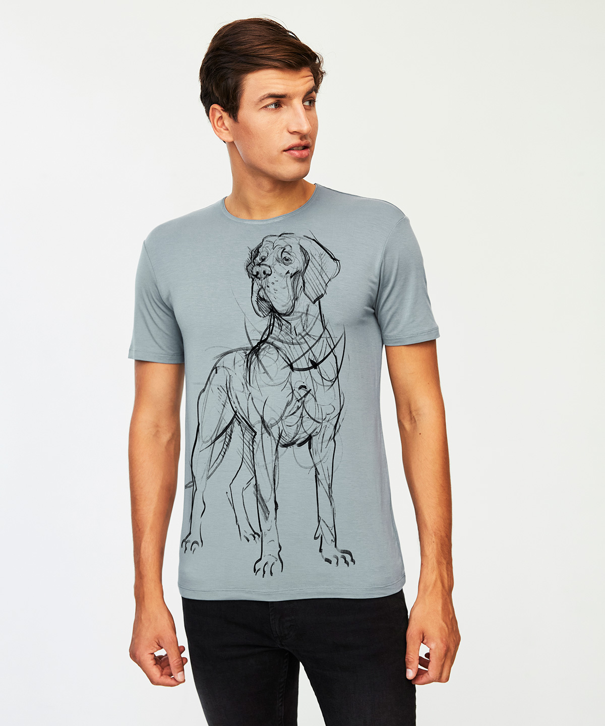 Great dane storm cloud t-shirt MAN