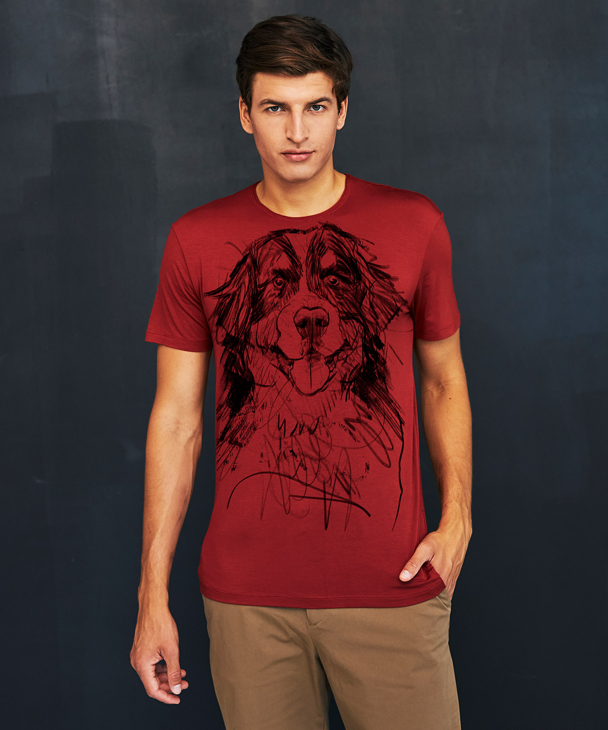 Bernese Mountain Dog marsala t-shirt MAN