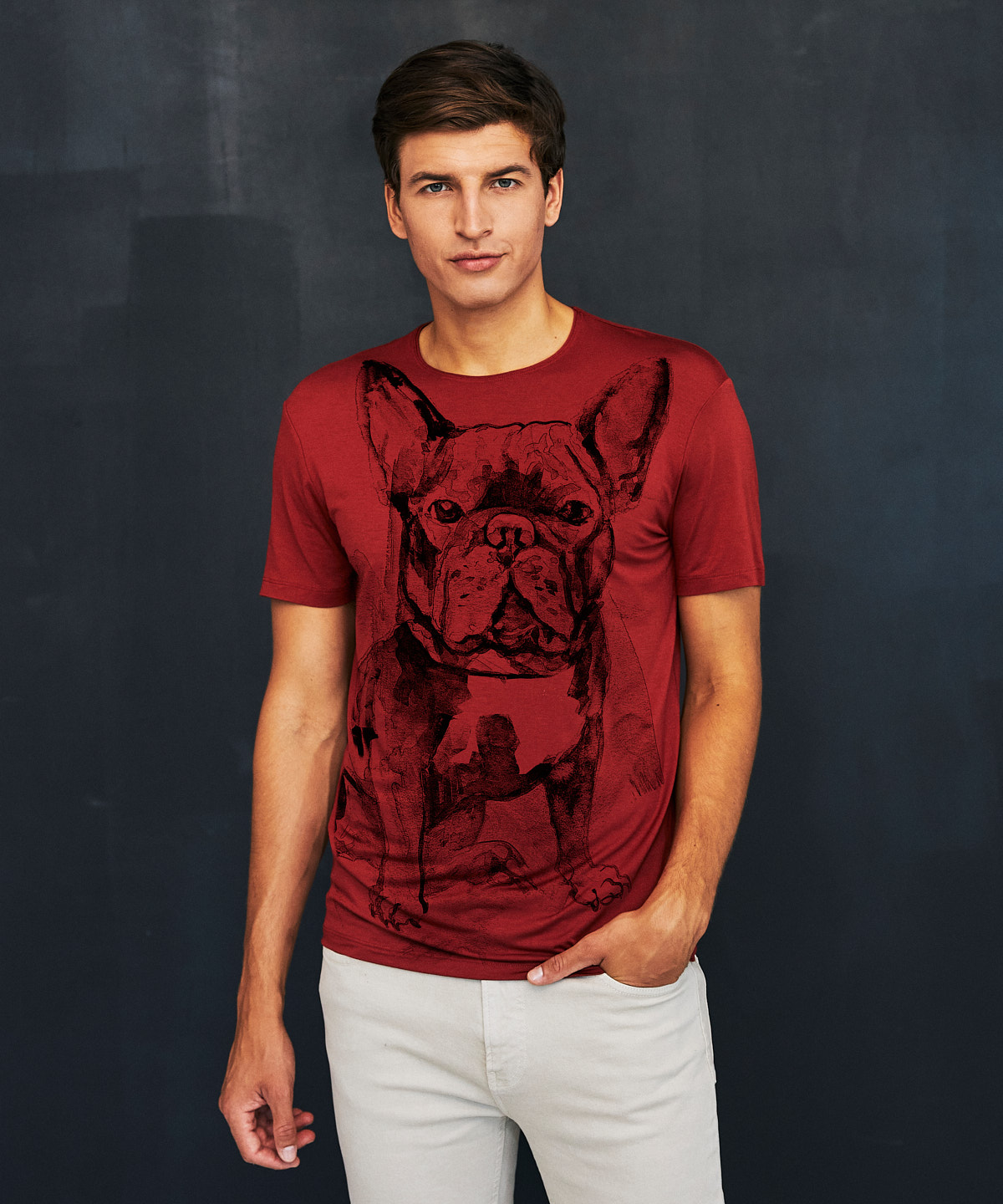 Bulldog marsala t-shirt MAN