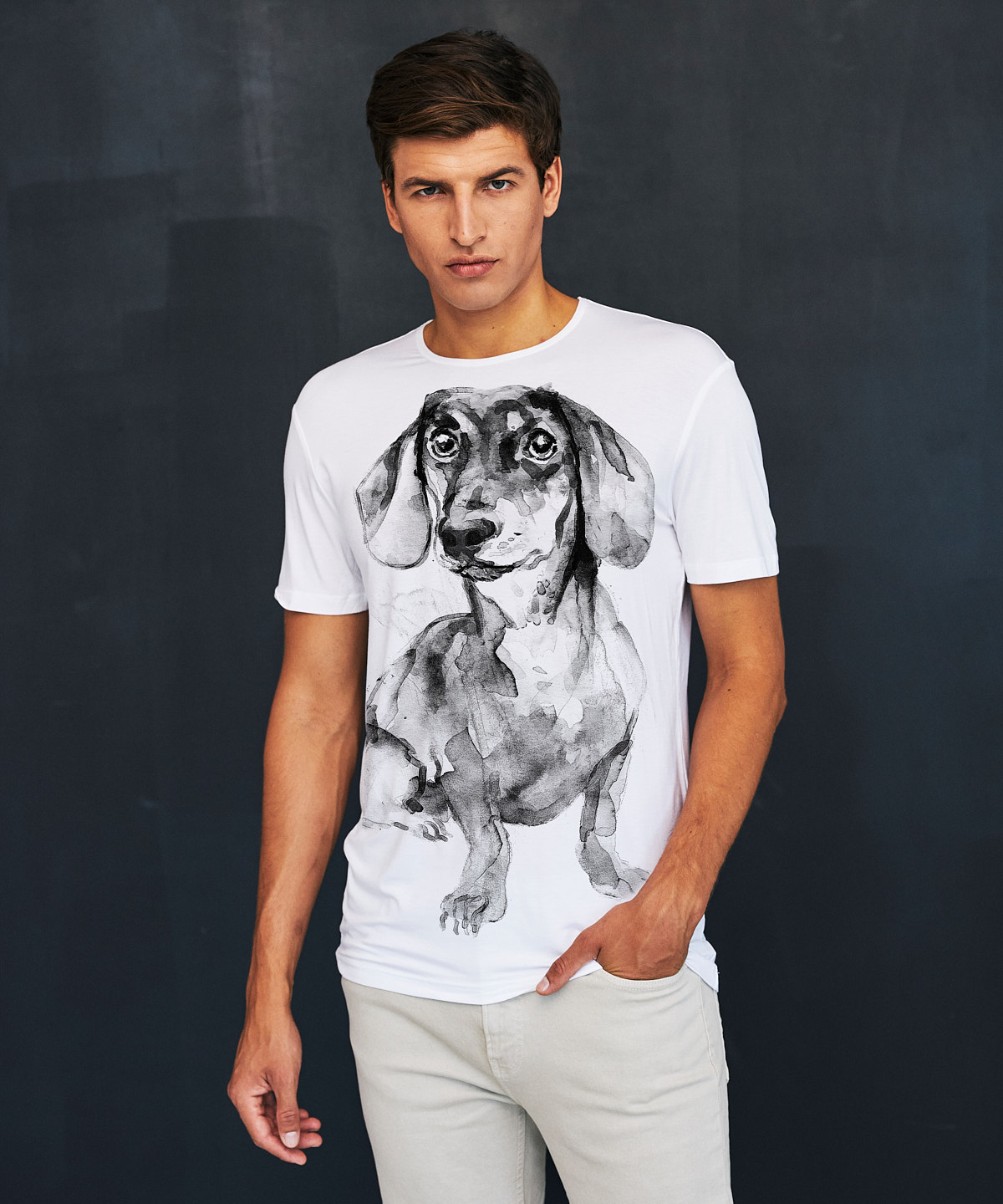 Dachshund no. 4 white t-shirt MAN