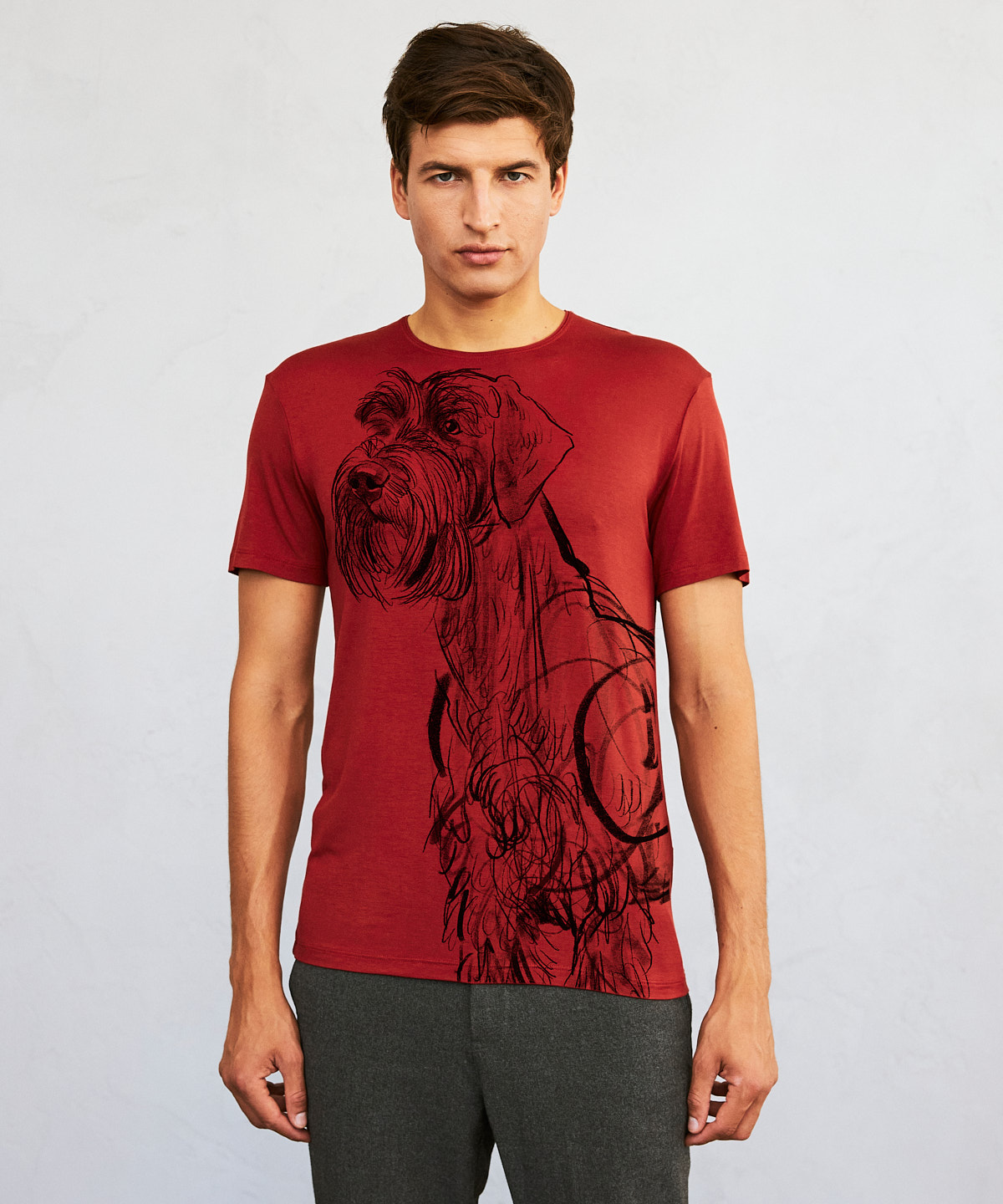 Giant Schnauzer marsala t-shirt MAN