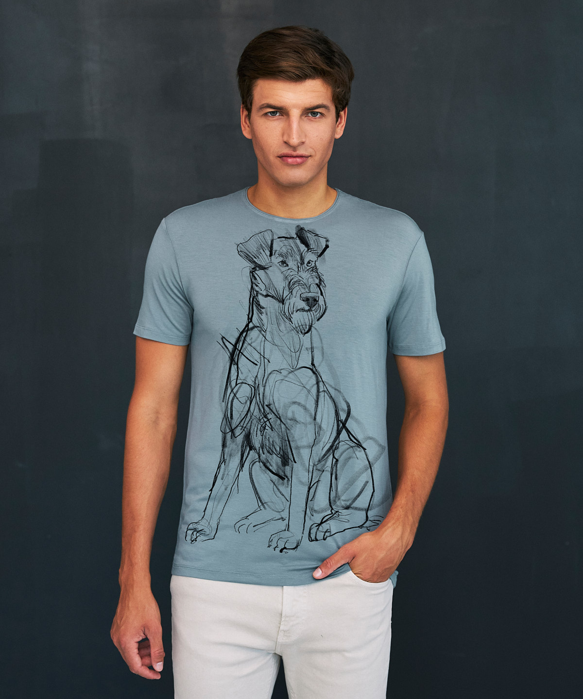 Irish Terrier storm cloud t-shirt MAN