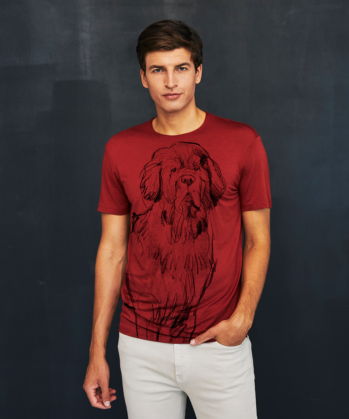 Newfoundland Dog marsala t-shirt MAN
