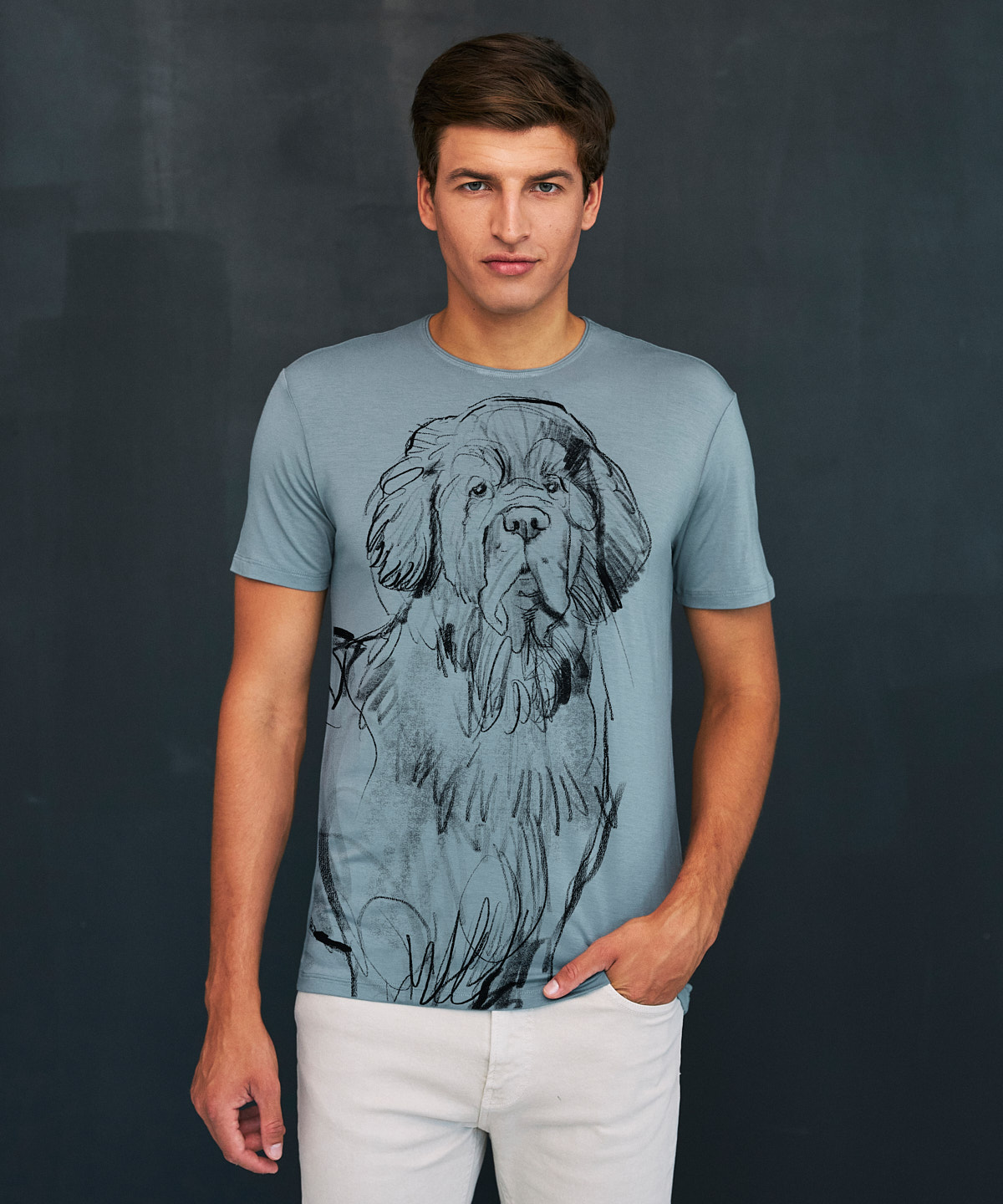 Newfoundland Dog storm cloud t-shirt MAN