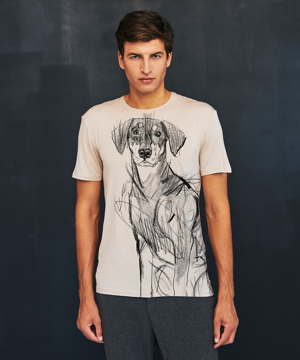 Pincher Dog hummus t-shirt MAN