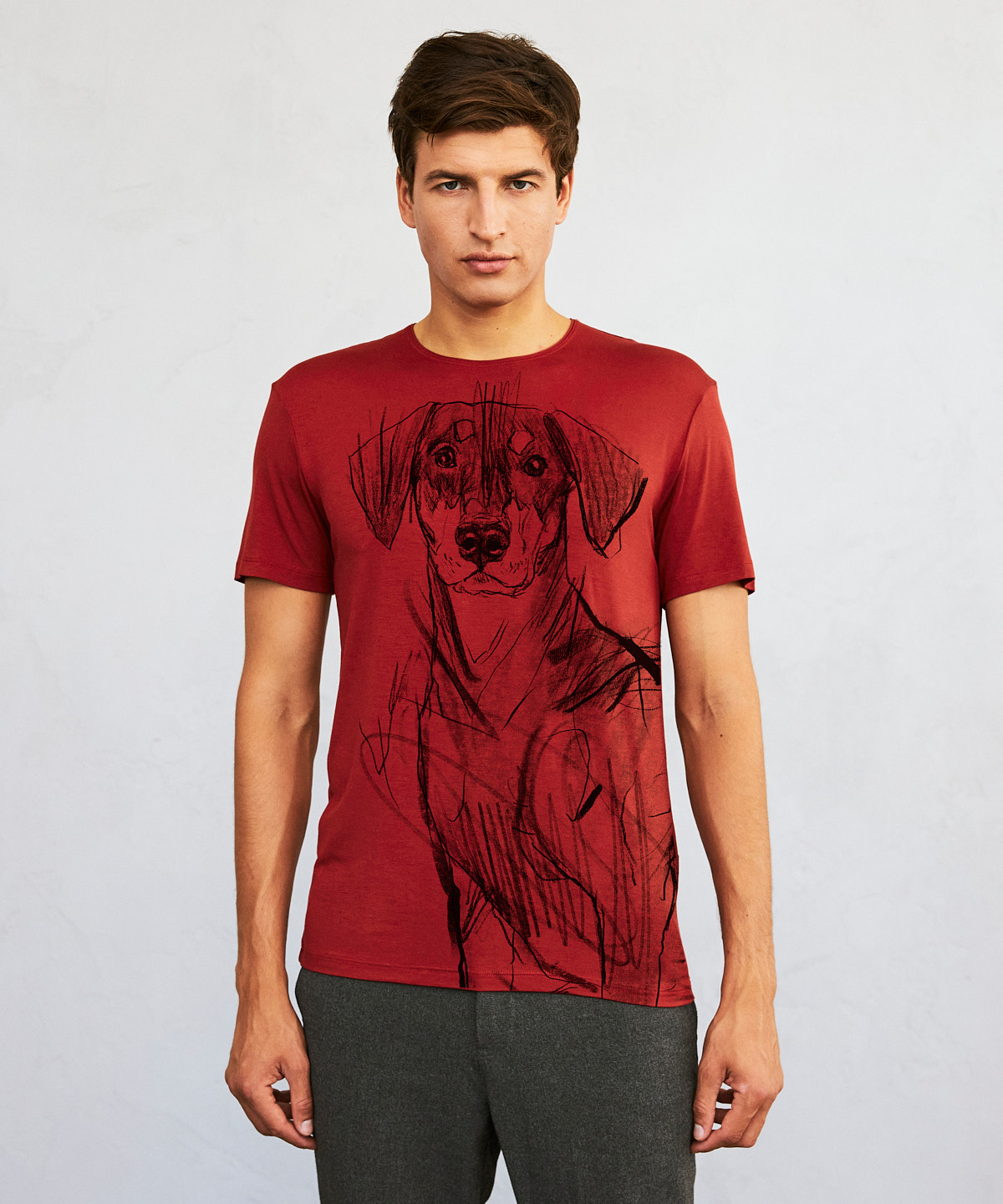 Pincher Dog marsala t-shirt MAN