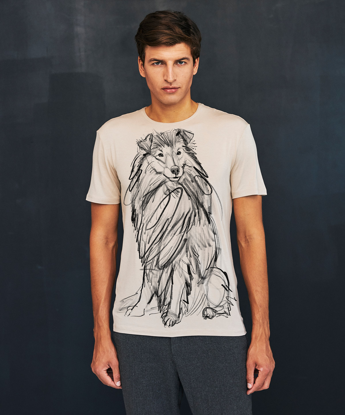 Shetland Sheepdog hummus t-shirt MAN