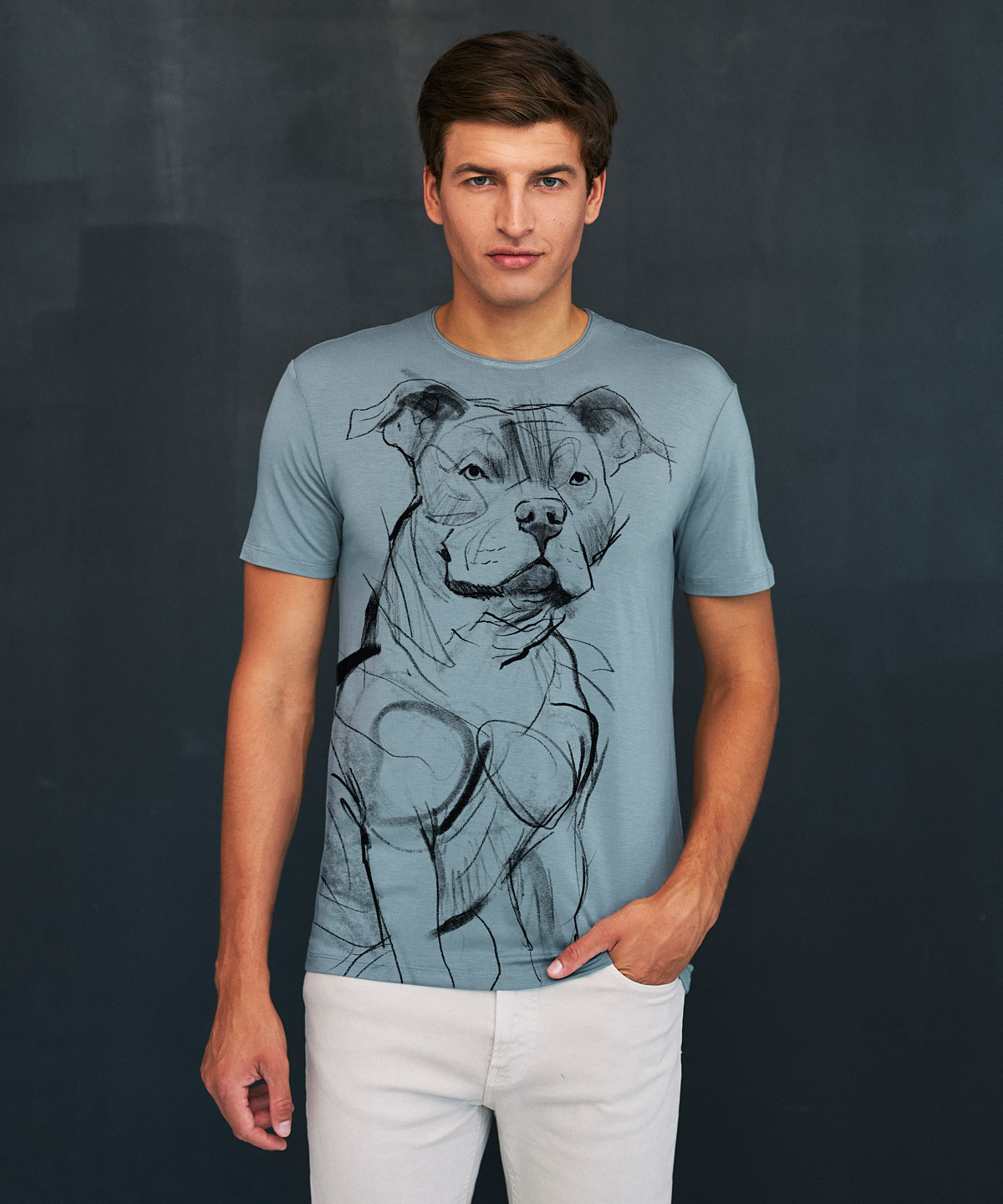 Staffordshire Bull Terrier storm cloud t-shirt MAN